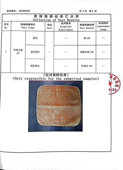检测报告 - 005 